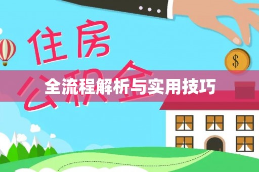 双辽全流程解析与实用技巧