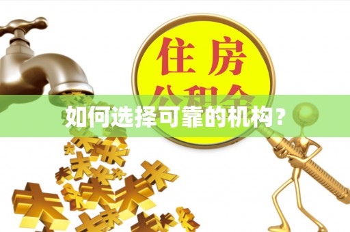 双辽如何选择可靠的机构？