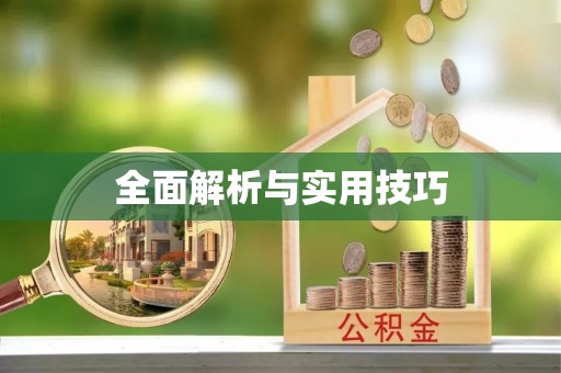 双辽全面解析与实用技巧