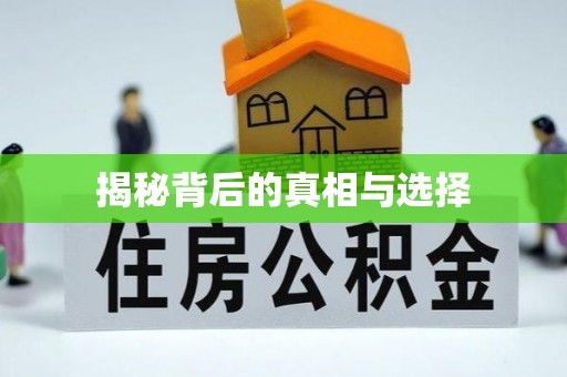 双辽揭秘背后的真相与选择