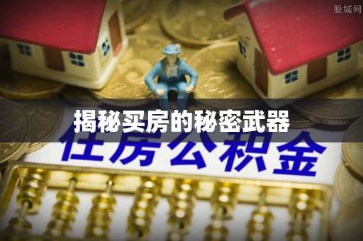 双辽揭秘买房的秘密武器