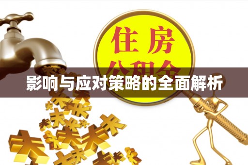 双辽影响与应对策略的全面解析