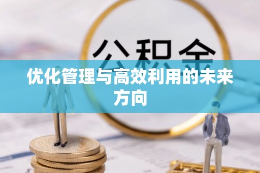 双辽优化管理与高效利用的未来方向