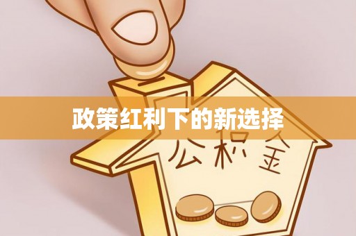双辽政策红利下的新选择